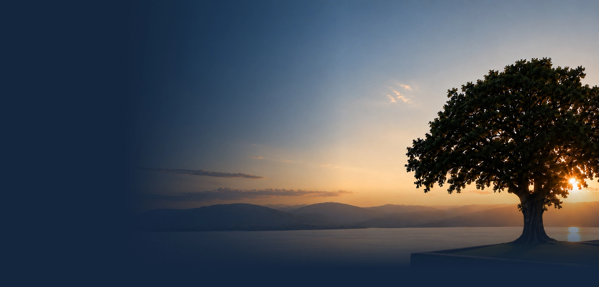 Resilience-through-Quality